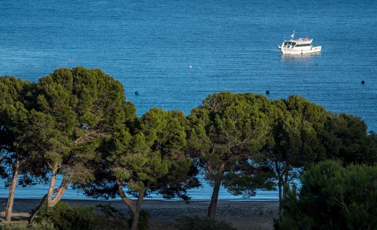 Cala joncols 3